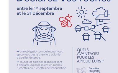 DECLARARTION DE RUCHES